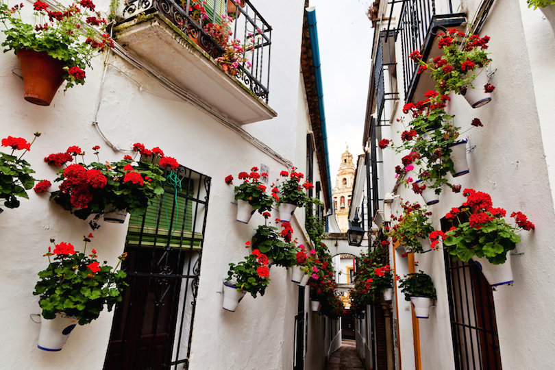 calleja de las flores, испания фото