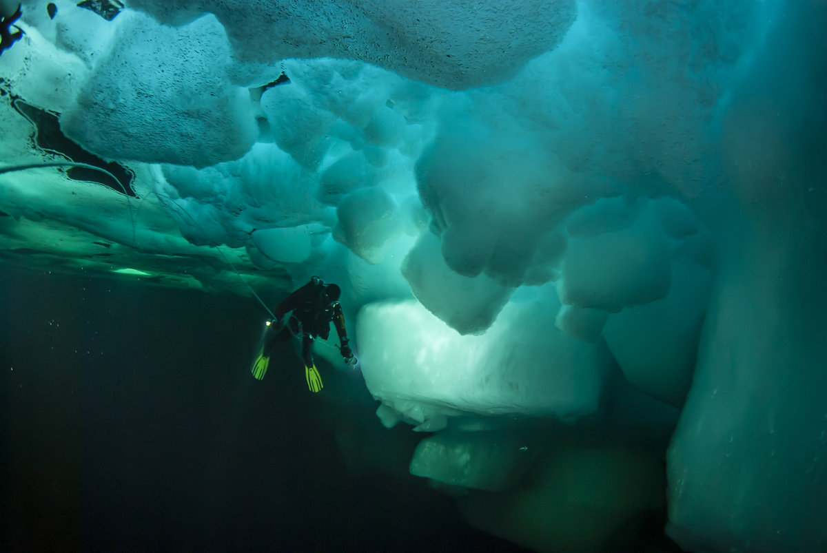 ��������� ����� ��� ����� ����