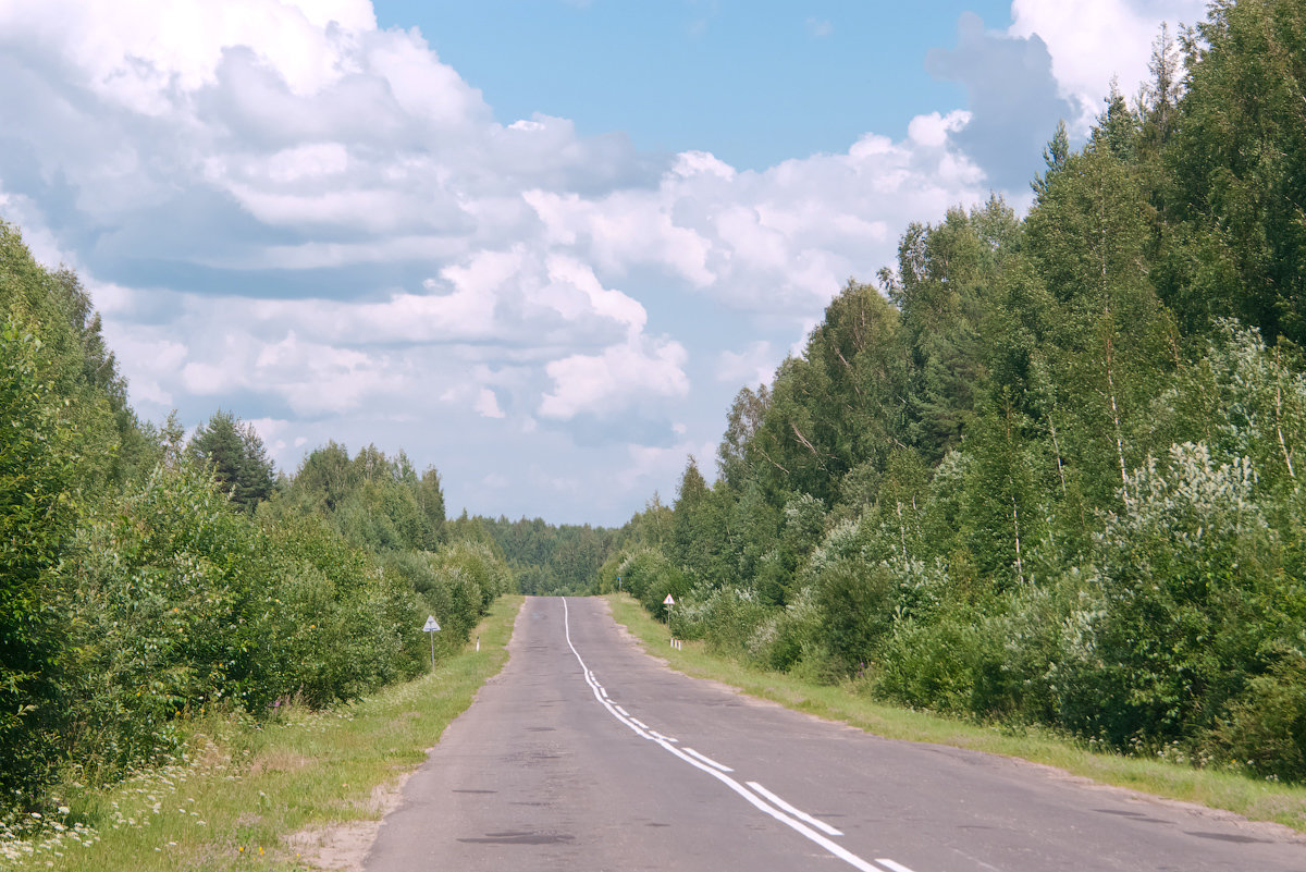 дорога фото
