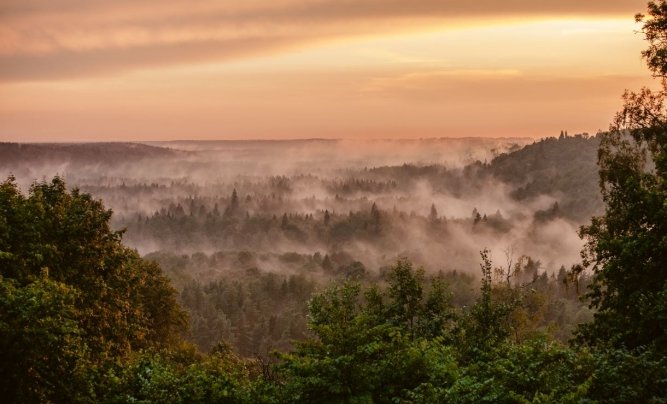 гауйский национальный парк в латвии фото