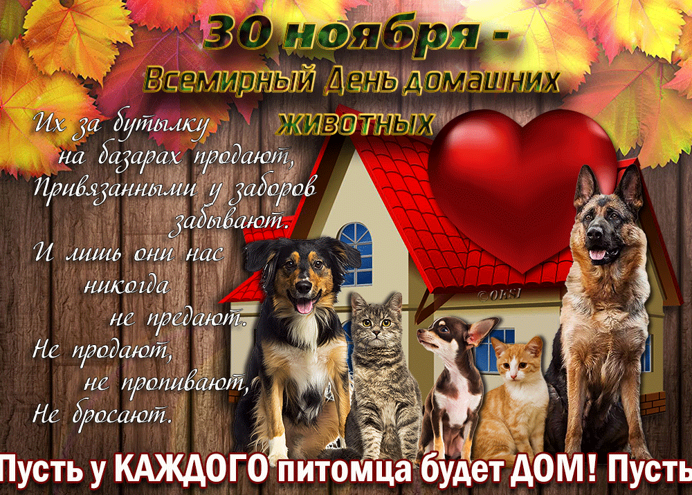 30 ноября – Всемирный День домашних животных