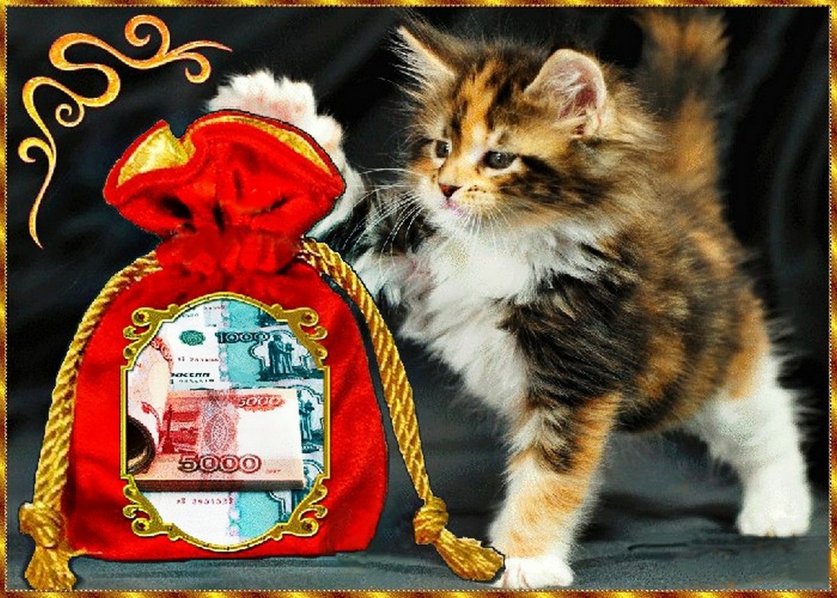 ��������, �������� � ��������������