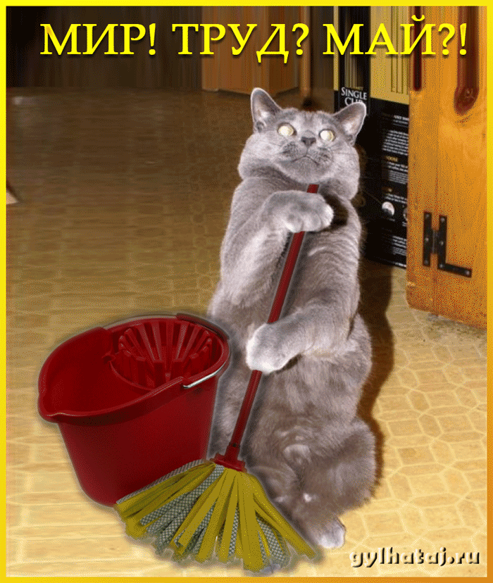 ����, �������� � 1 ���� ����������