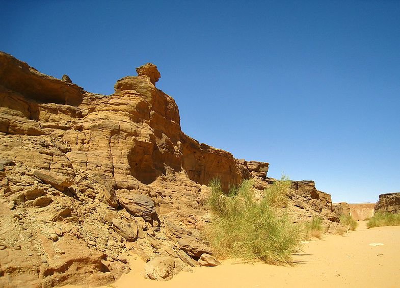 чарынский каньон казахстан фото