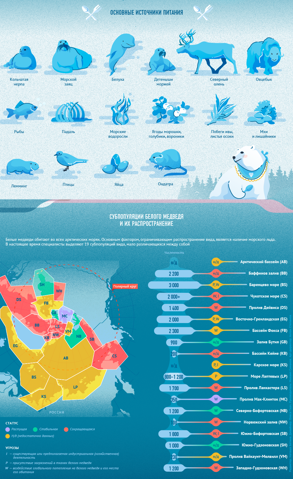 Инфографика про жизнь полярного медведя.  Основные источники питания.