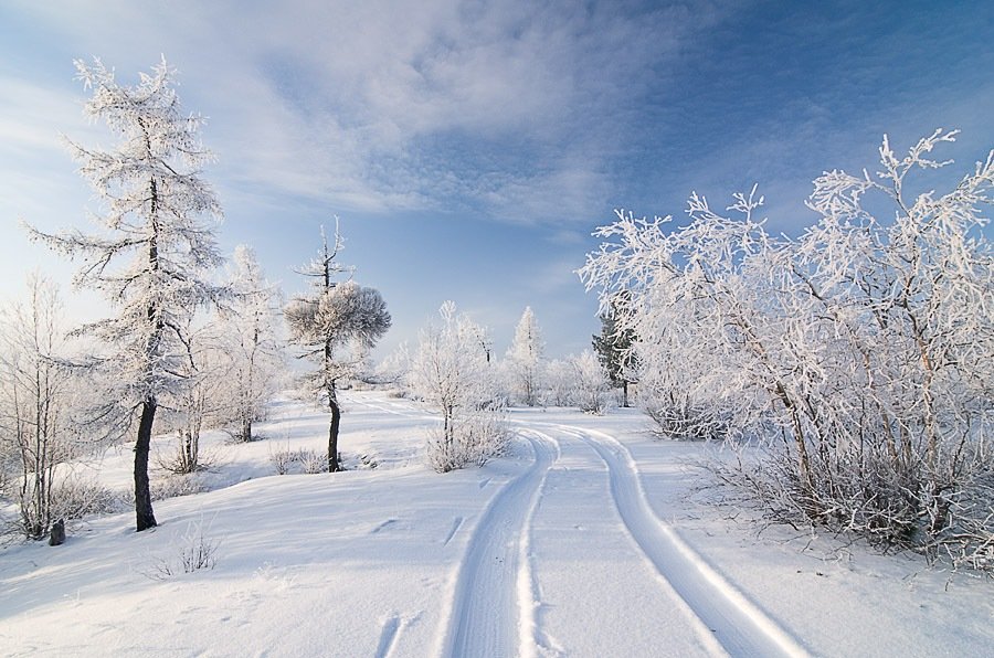 зимние пейзажи фото