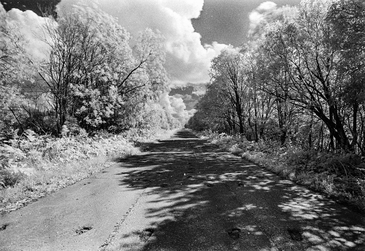 rollei infrared 400 фото