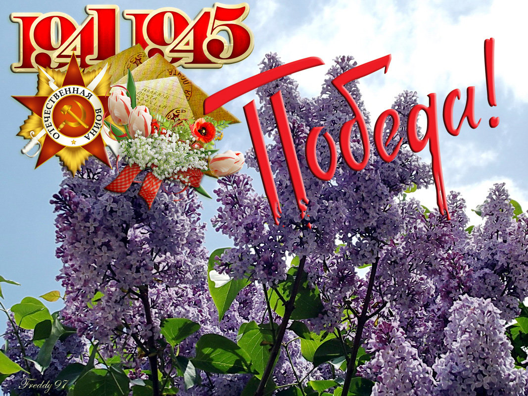 Открытки с 9 мая красивые с сиренью