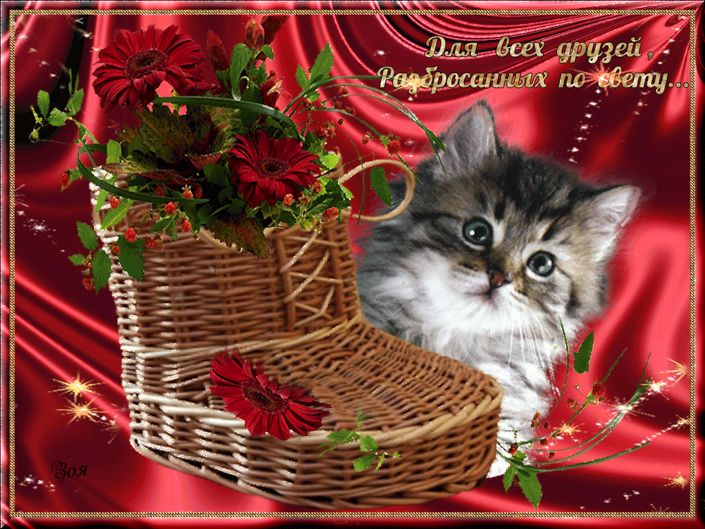 ����������, �������� ����� ���������