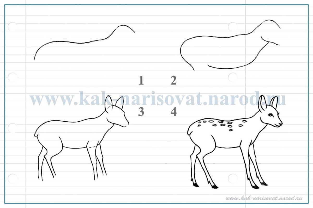 Рисовать лань поэтапно
