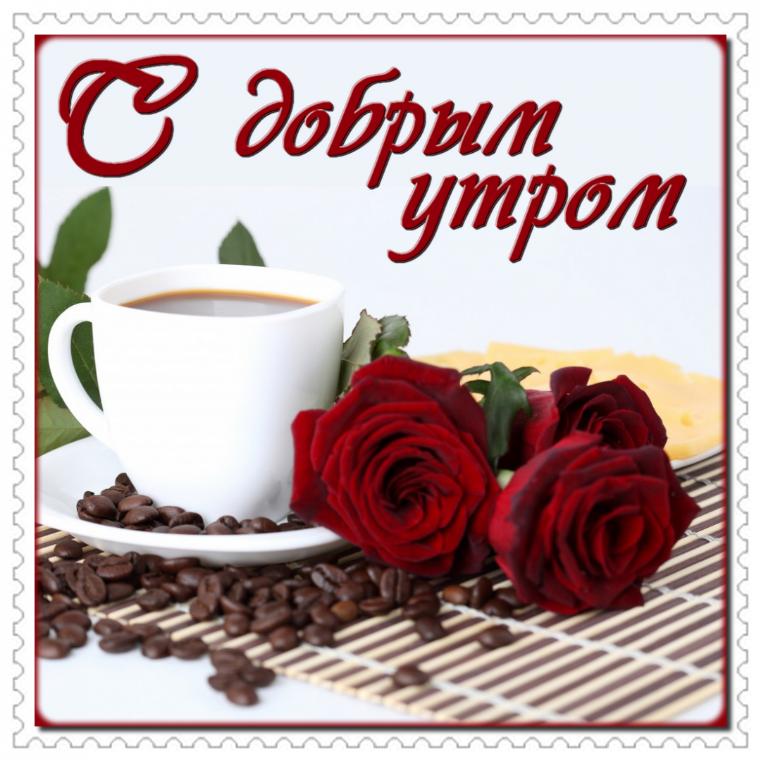 ����� �������� � ������ ����� ������� ��������