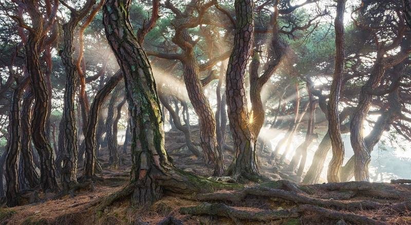 jaeyoun ryu фото