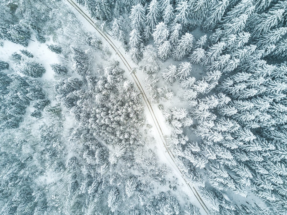 зимний лес вид сверху фото