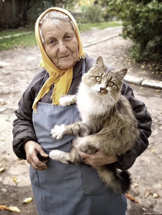 бабушка с кошками фото