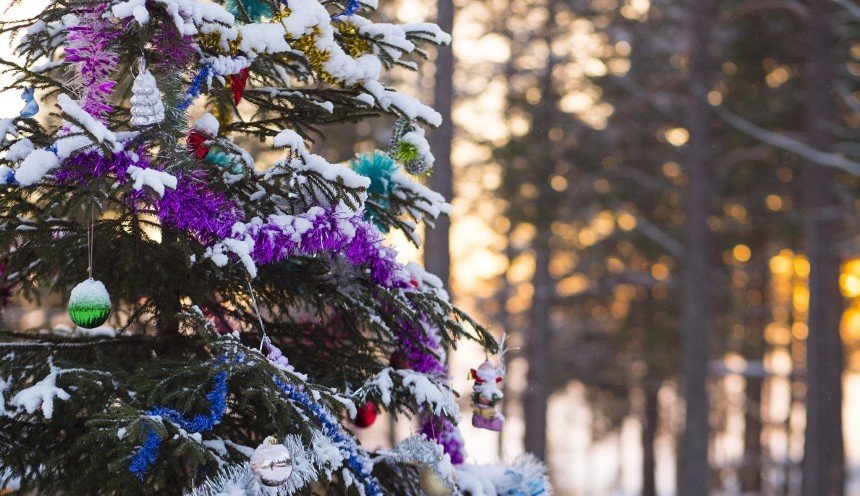 Новогодние Каникулы В Карелии Базы Отдыха Цены