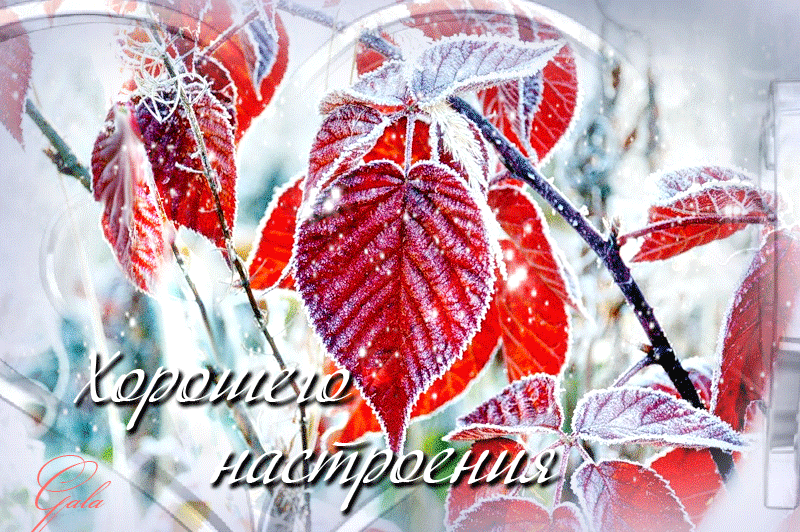 ������, �������� ������������ ������