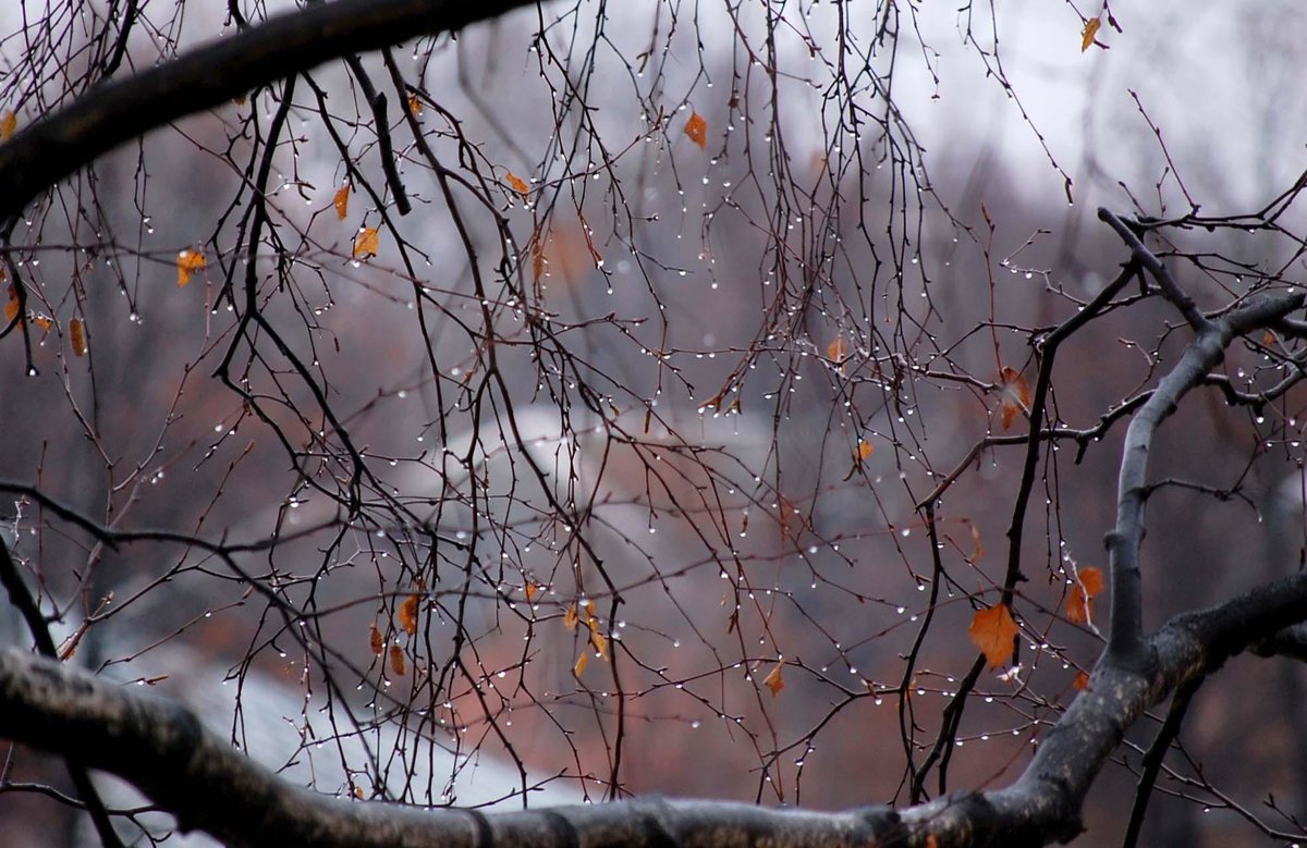 поздняя осень фото