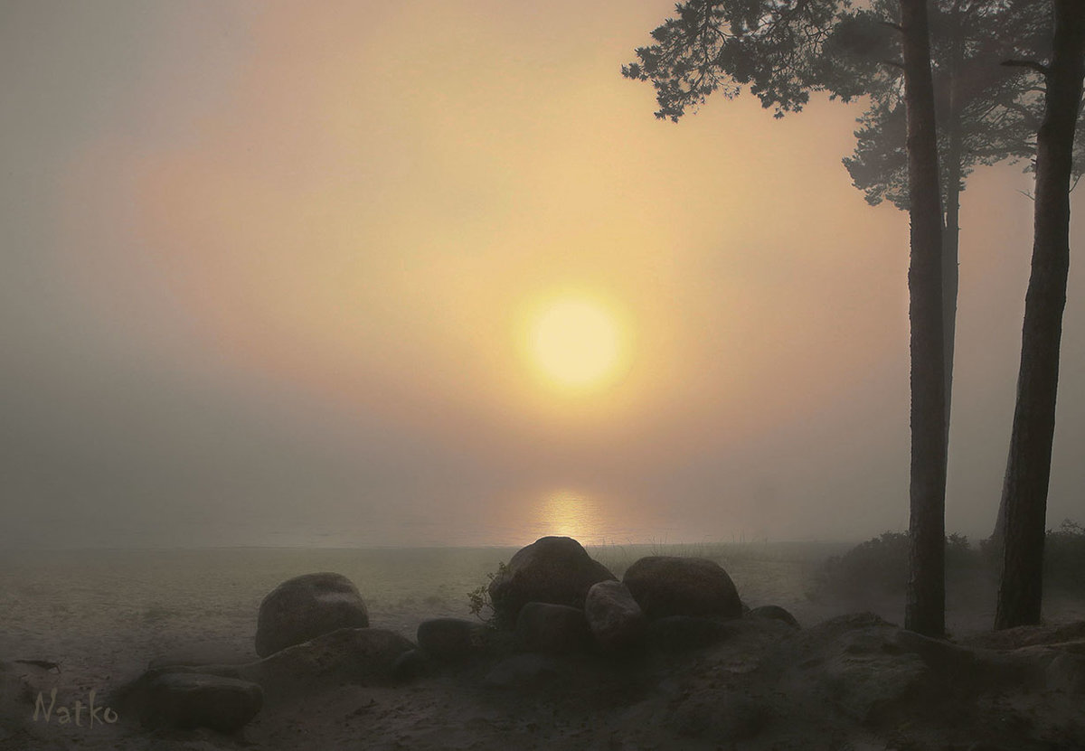 ÐÐµÐ»ÑÐµ Ð½Ð¾ÑÐ¸ Ñ Ð¼Ð¾ÑÑ.