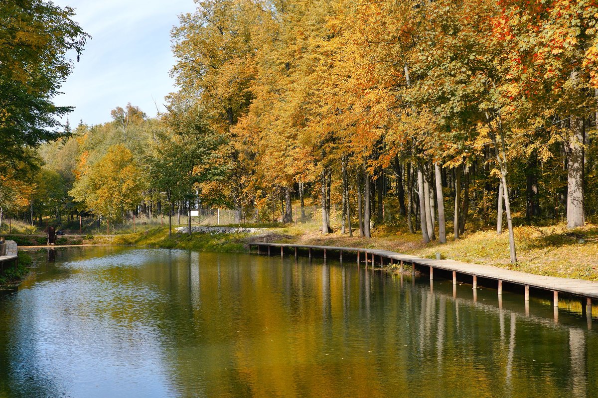 парк дубовая роща фото