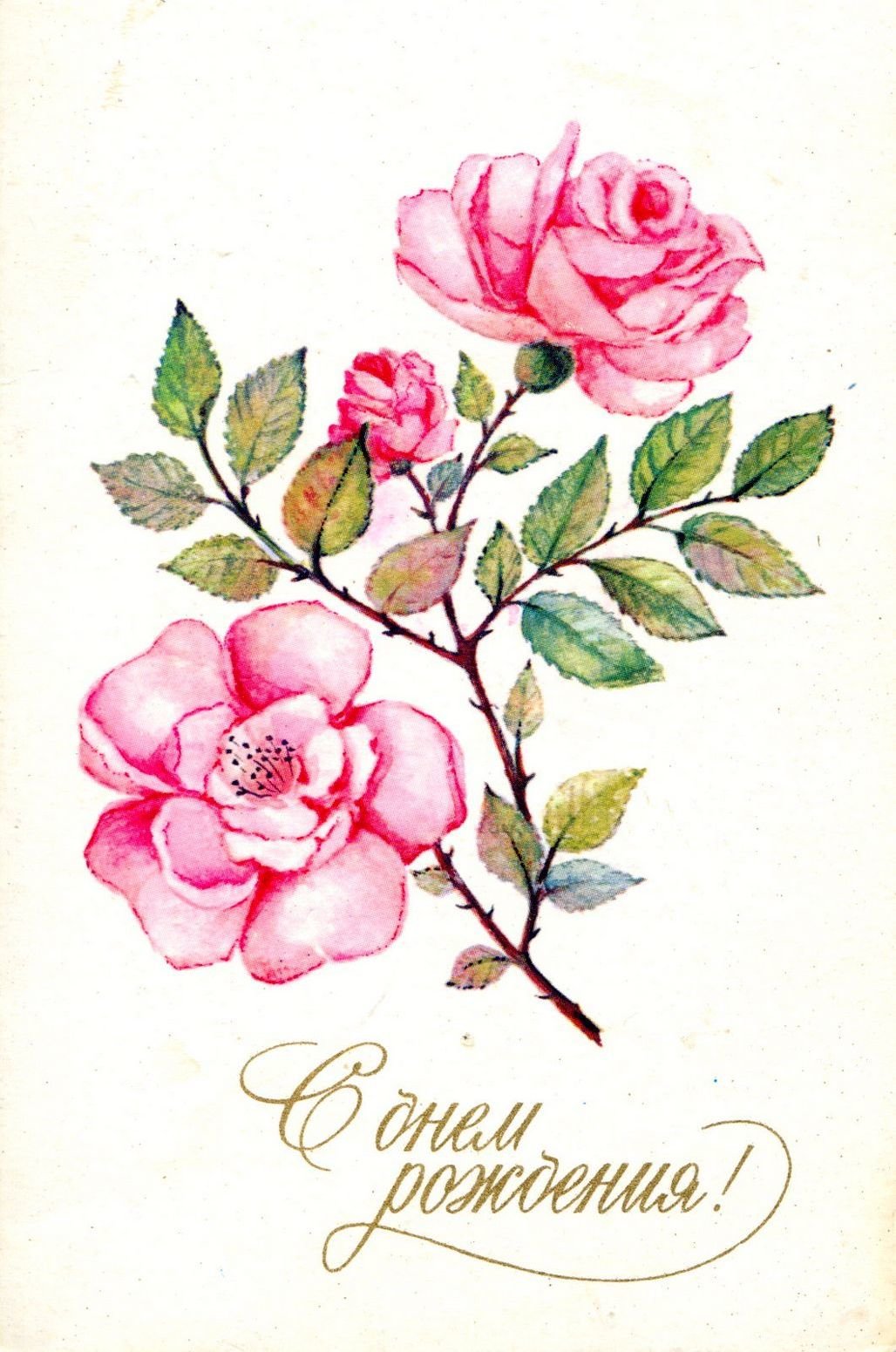 ������� �������� �� ���� �������� ����