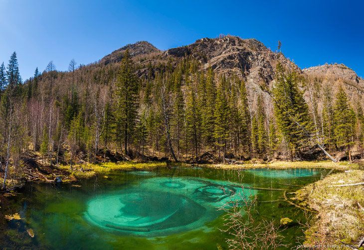 гейзерное озеро алтай фото