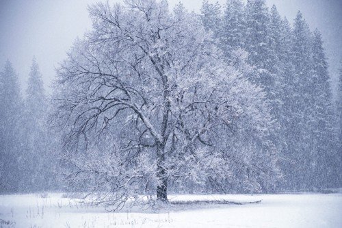 зима снег фото