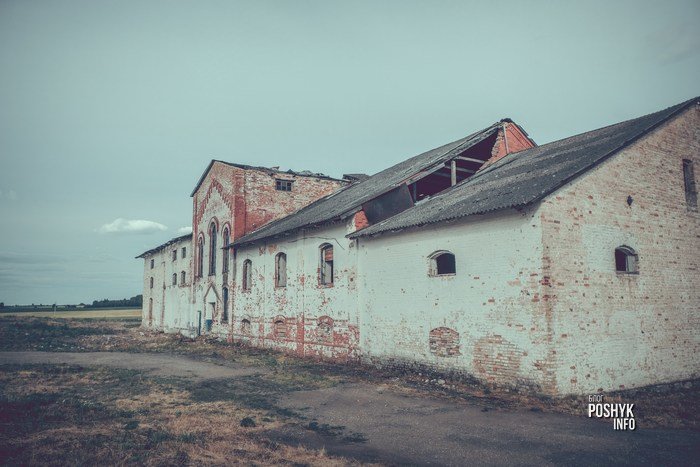 беларусь быховский район деревня красная слобода фото