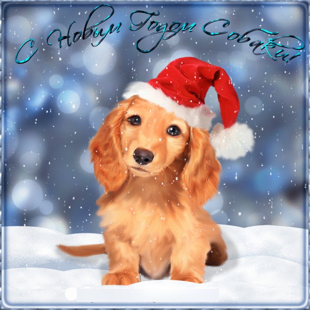 ���������� ��������, ������ � ����� ����� ��������