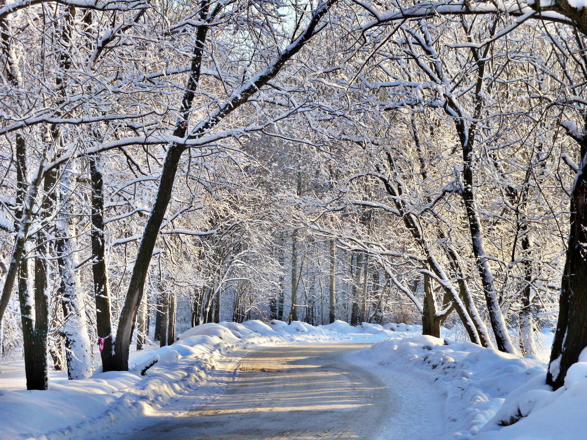 �������� ������ ������