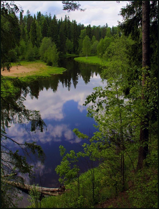 река оредеж фото