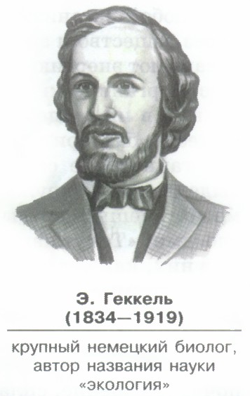 эрнст генрих геккель фото