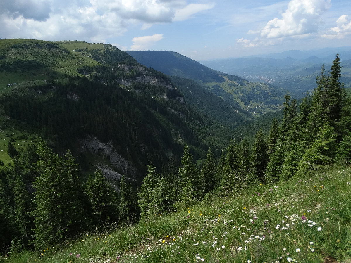 румыния карпаты буковина фото