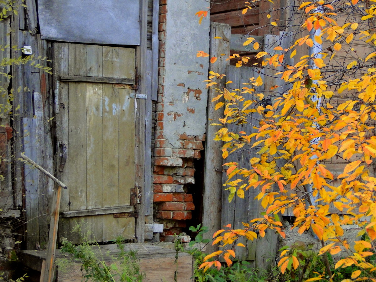 Картинки осень на пороге