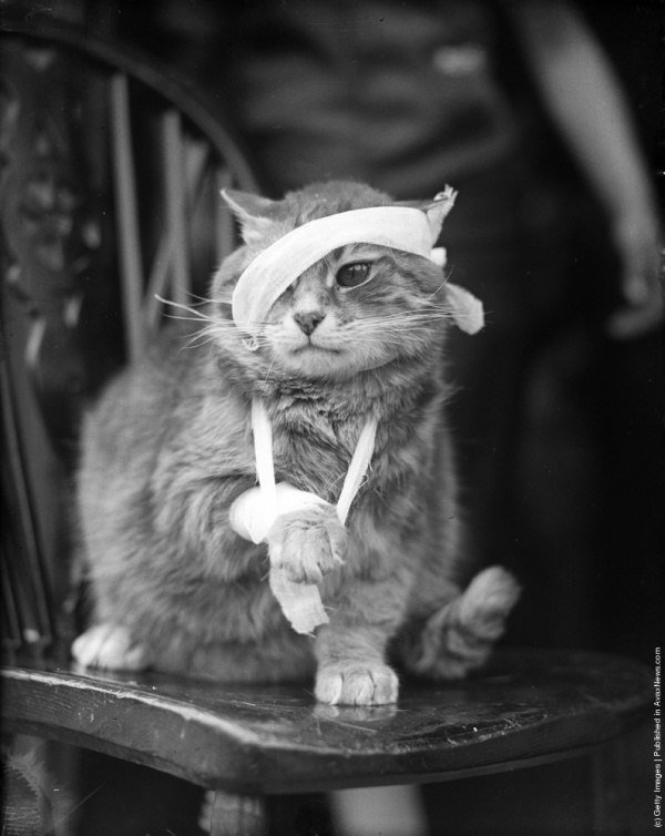 �������, ����������� ����� �������� ����������