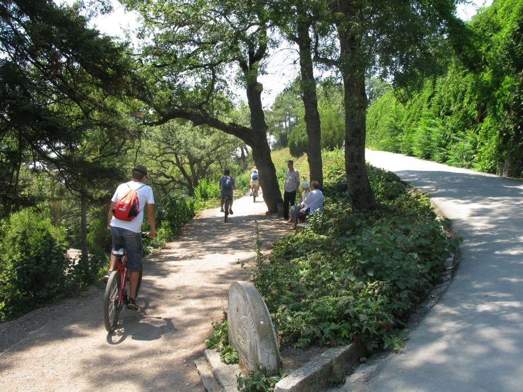 алупка крым фото