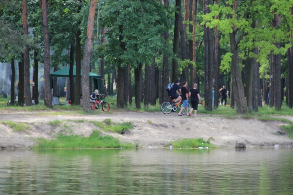 заельцовский парк фото