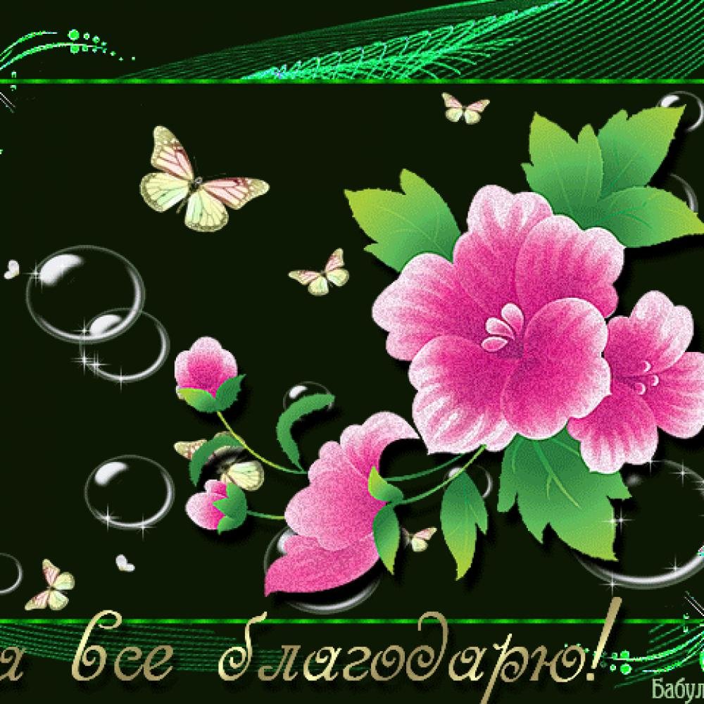 �������� �� ������������� ��������, ���������