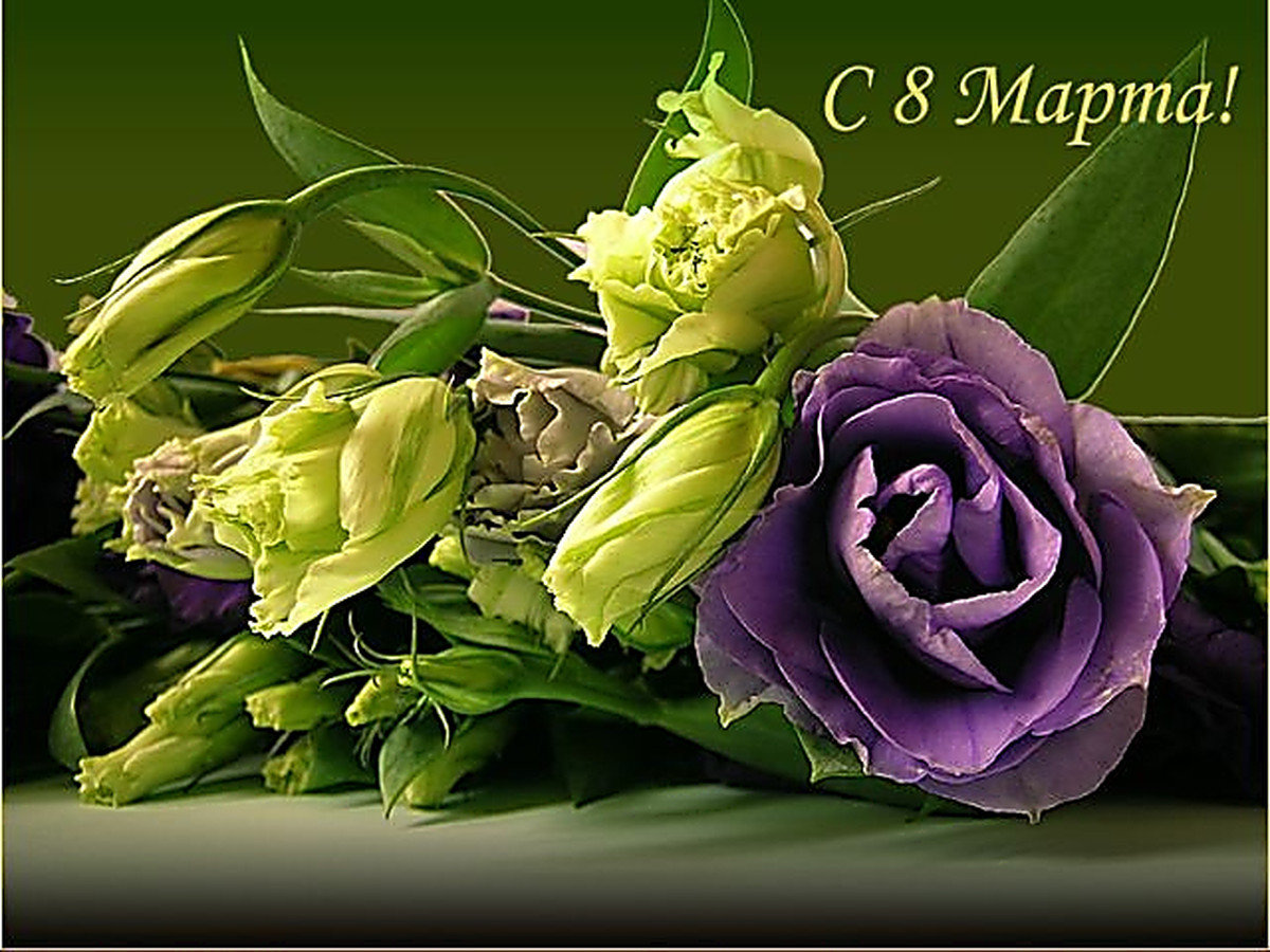 ����, ���� ������������ � 8 �����