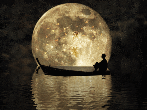 silent moon jia peng fang фото
