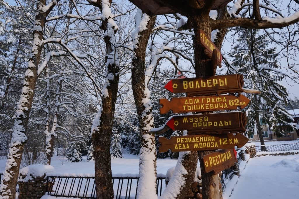 резиденция деда мороза в беловежской пуще фото
