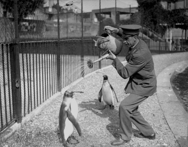 редкие исторические фотографии фото