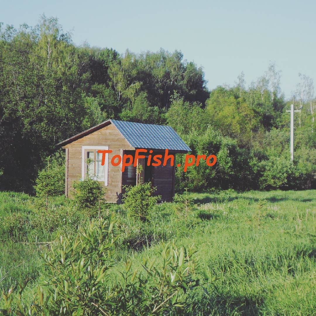 дача фото