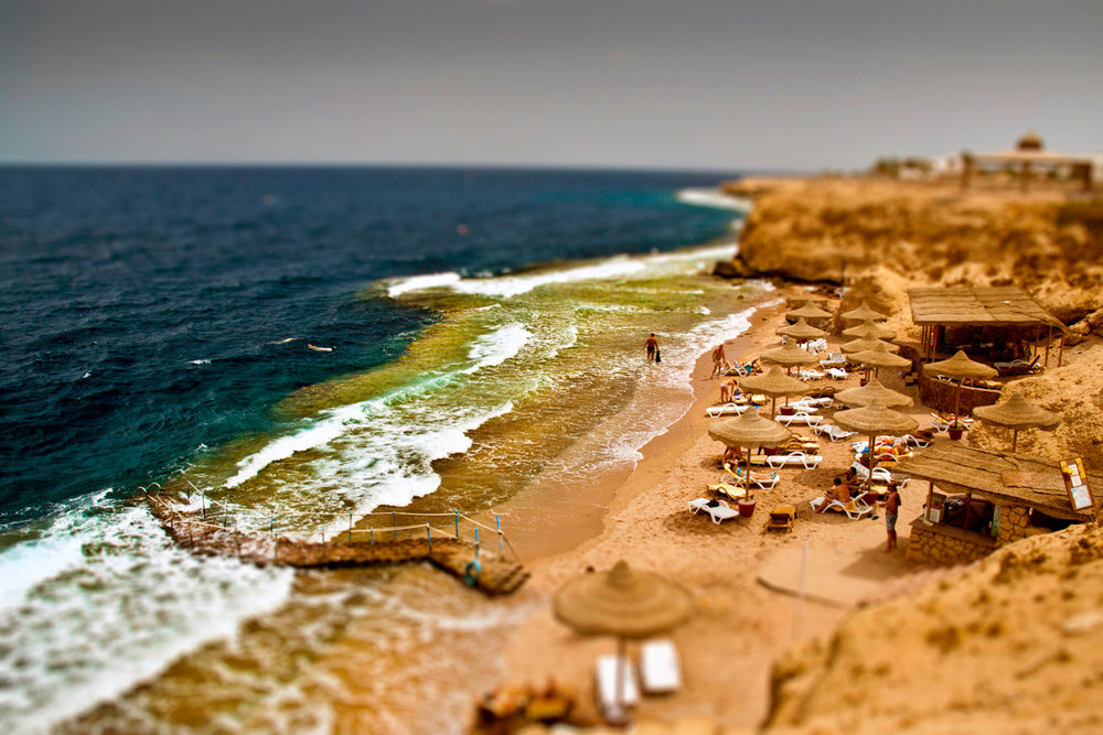 club reef 4 египет шарм-эль-шейх фото