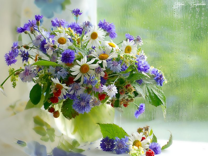 Картинки по запросу букет васильков и ромашек фото