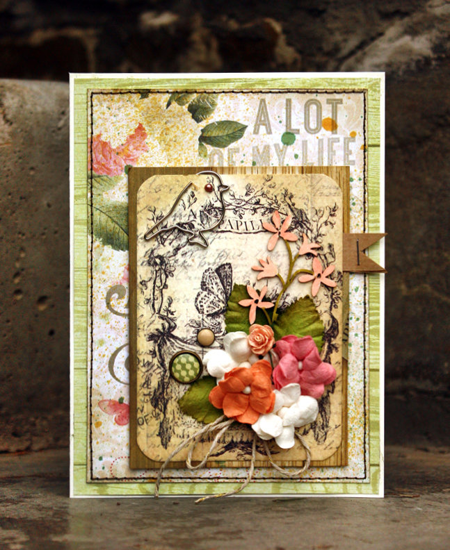 ������ ��������