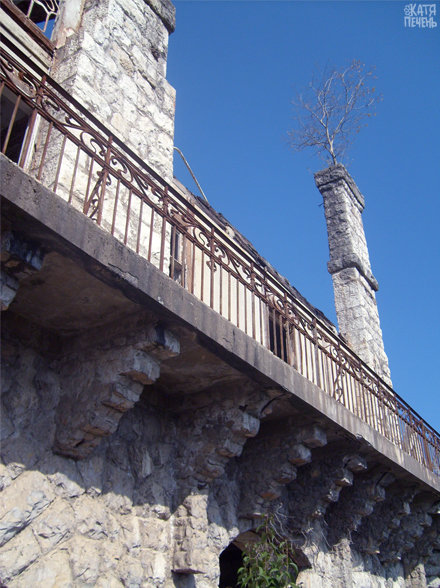 гнездо на краю скалы фото