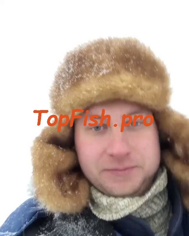 мужская зимняя шапка фото