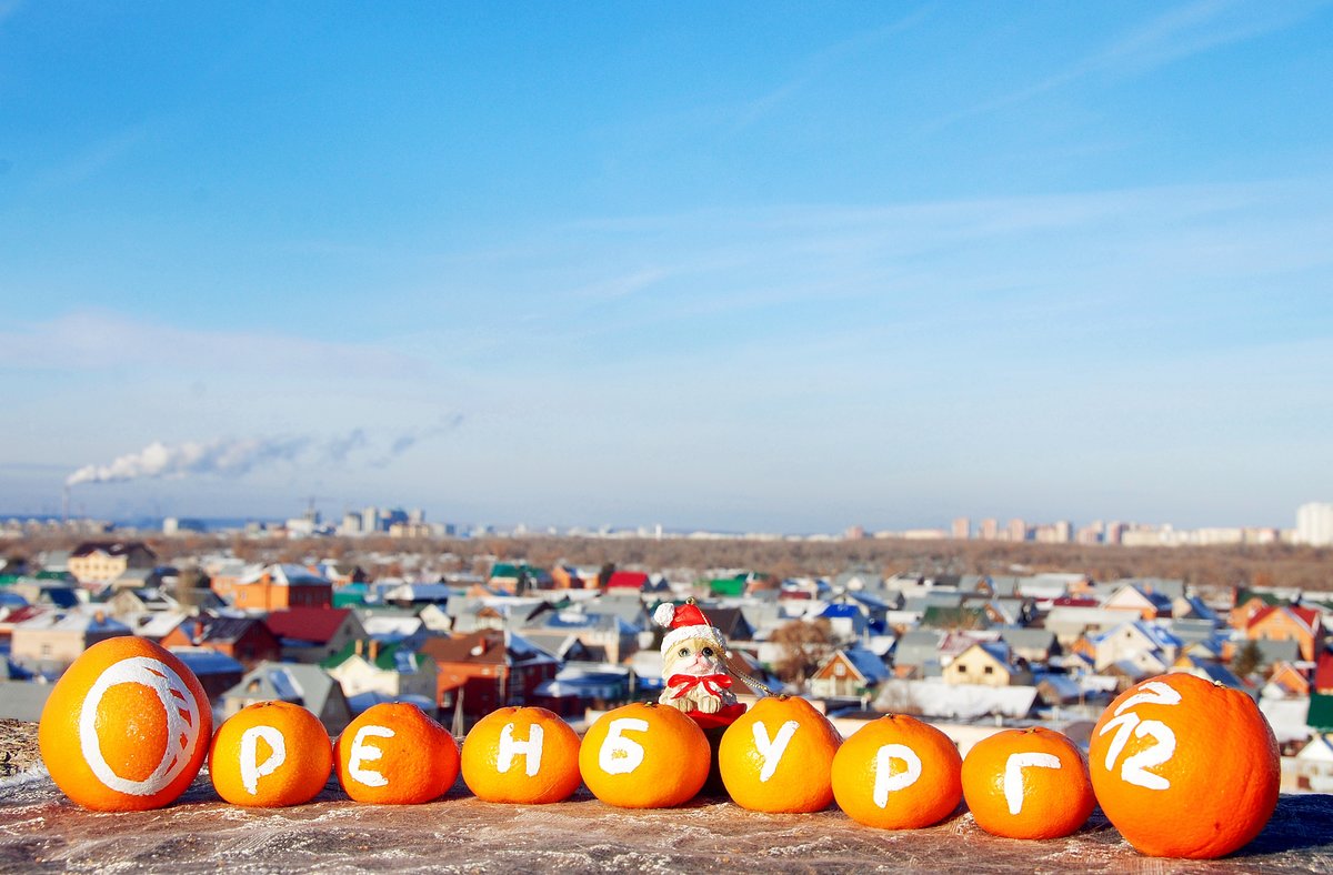 хэллоуин тыквы фото