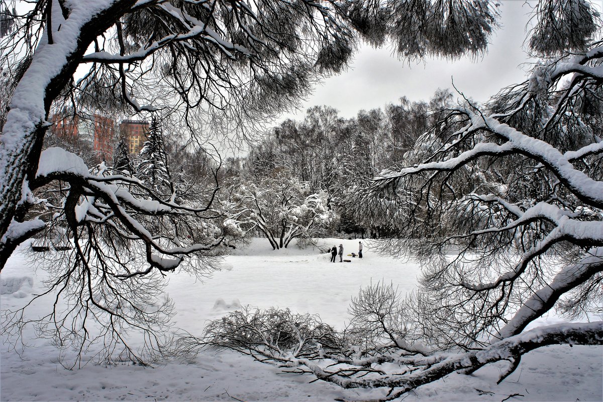 екатерининский парк зимой фото