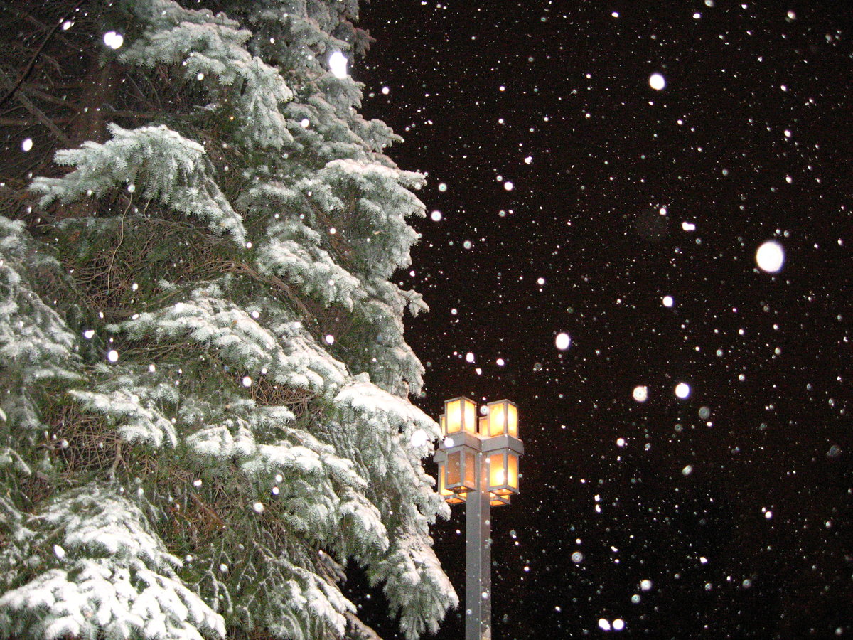 Ночь идет снег картинки